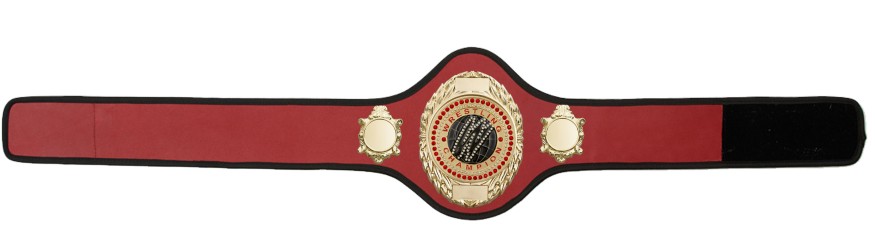 WRESTLING BELT-PRO286/G/WRESTGEMG-10+ COLOURS